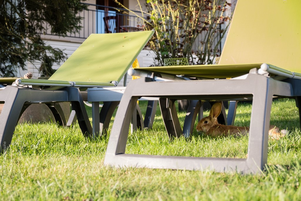 Hôtel Restaurant Le Relais Vosgien